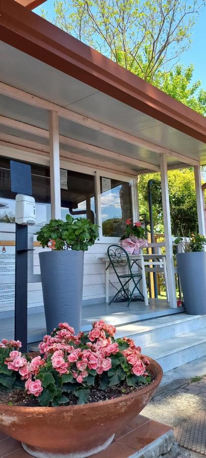 Camping Linus Marina di Massa Exterior foto