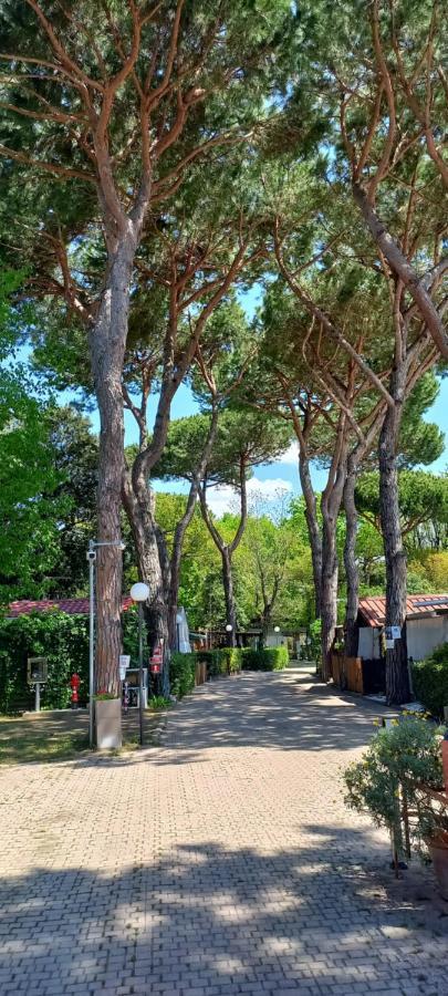 Camping Linus Marina di Massa Exterior foto