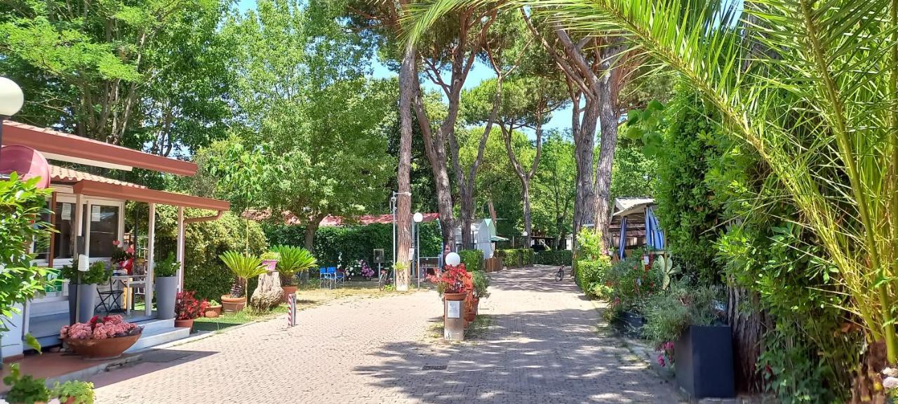Camping Linus Marina di Massa Exterior foto