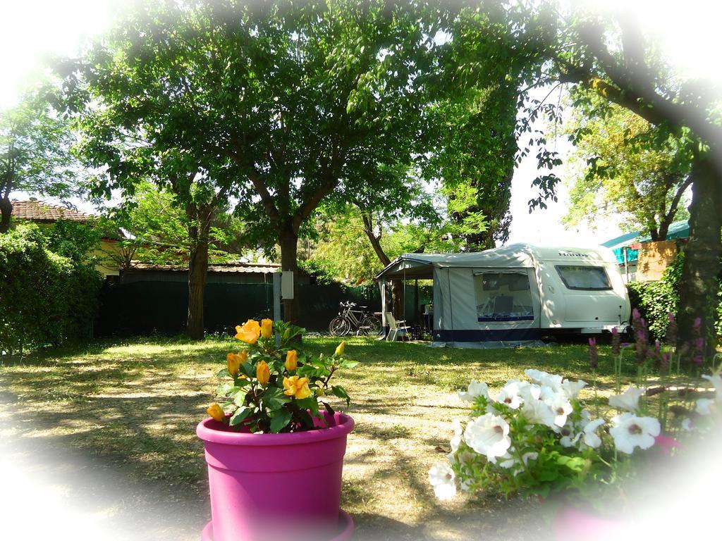 Camping Linus Marina di Massa Exterior foto